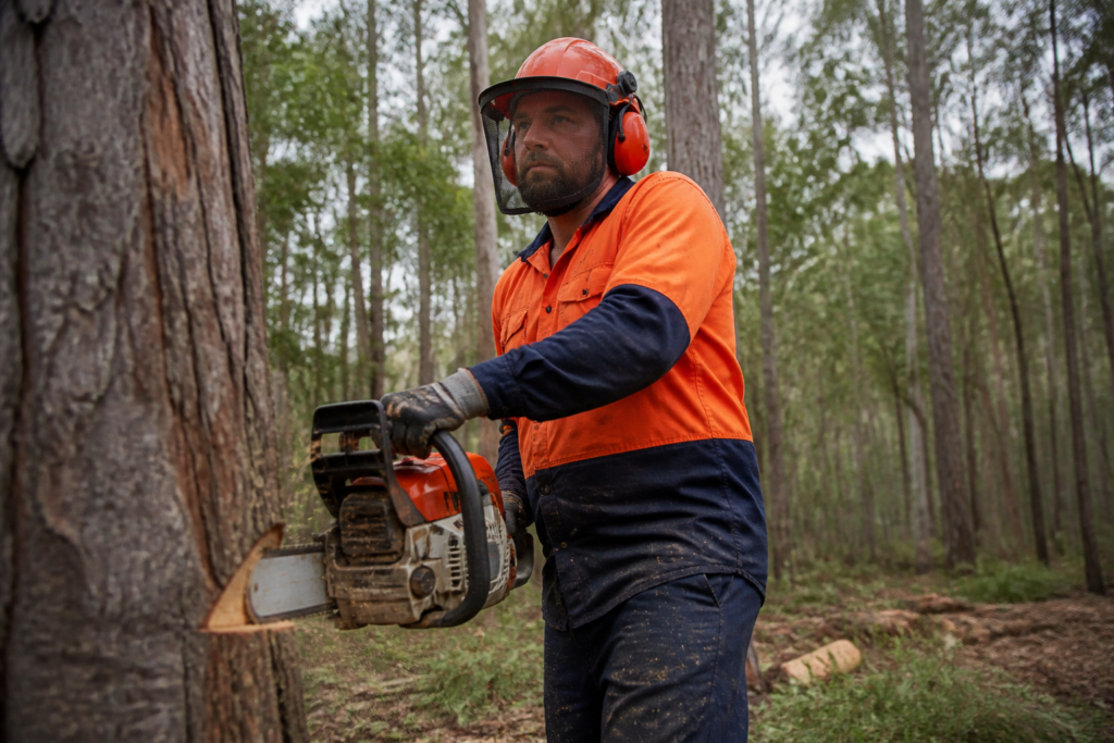 Forestry Worker Jobs In Australia With Visa Sponsorship For Foreigners In 2026/2027: Pay, Requirements & How to Apply