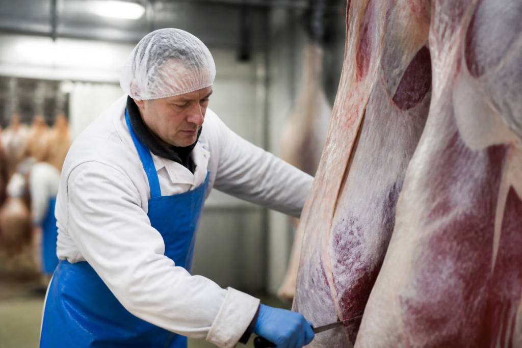 Abattoir Worker Jobs In UK With Visa Sponsorship For Foreigners In 2026/2027: Salary, Duties & How to Apply